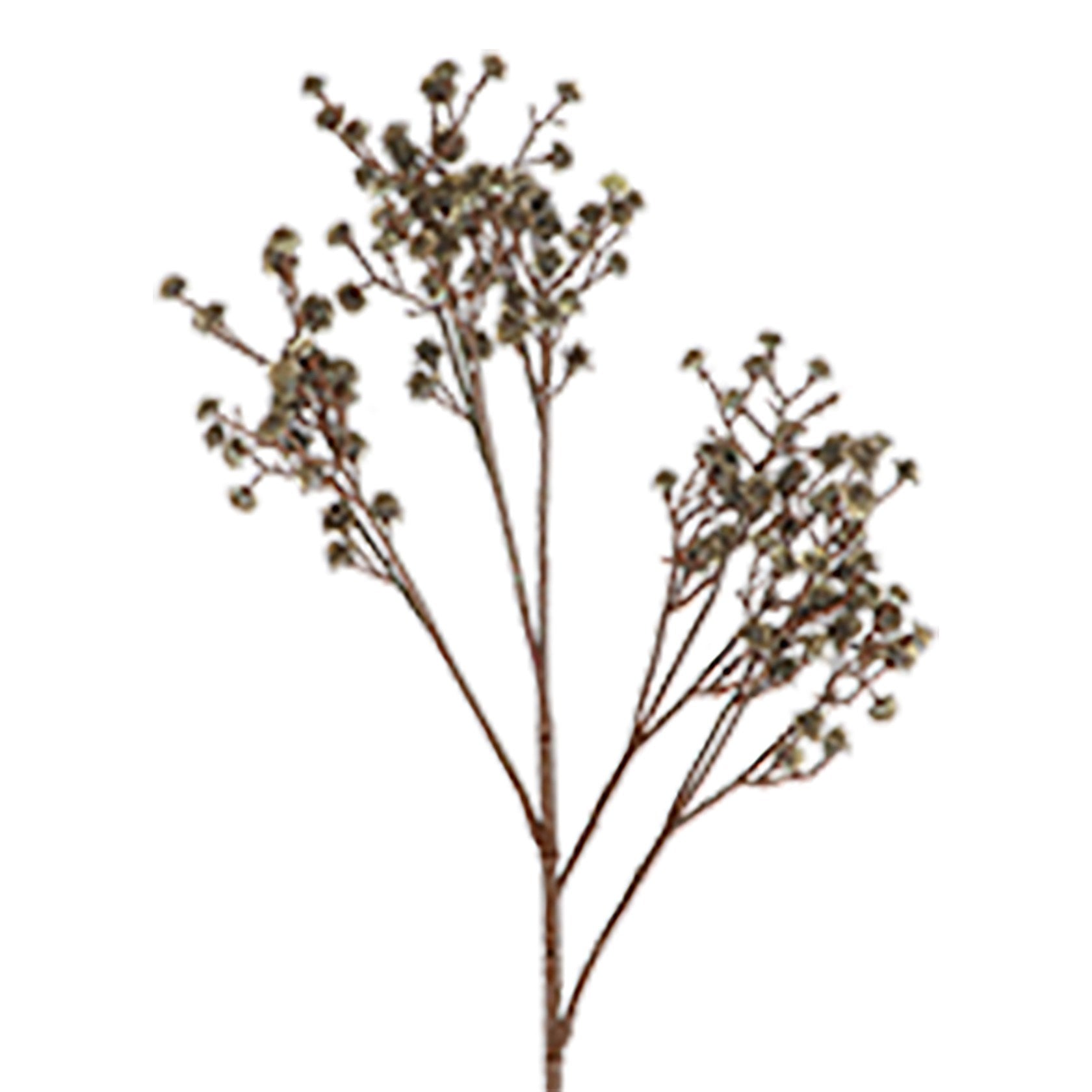 Grey blue gypsophila spray