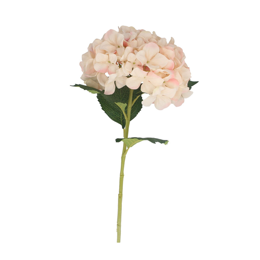 Baby pink giant hydrangea