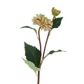 Green & pink striped dahlia spray