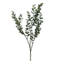 Mini eucalyptus pick