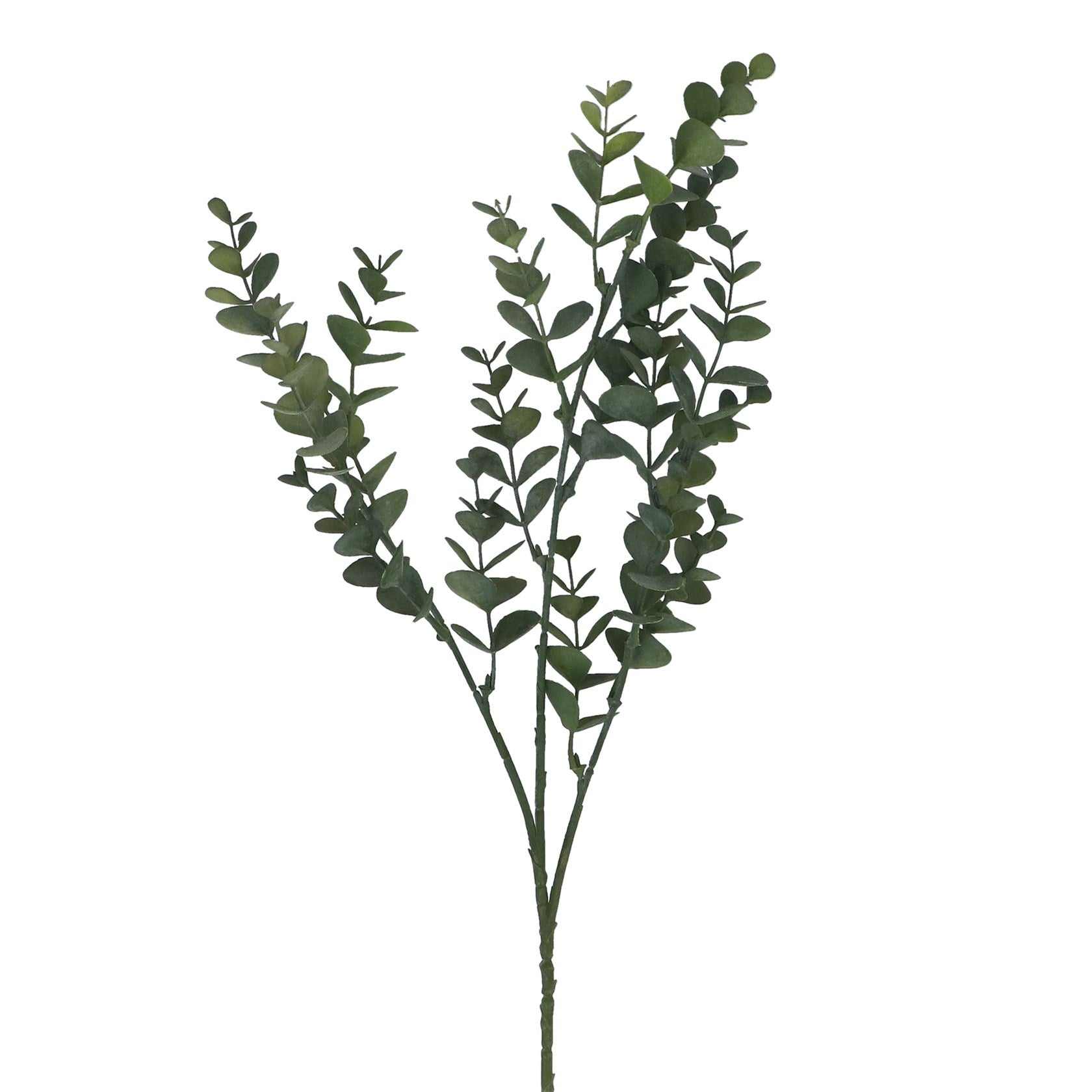 Mini eucalyptus pick