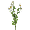 Feverfew spray