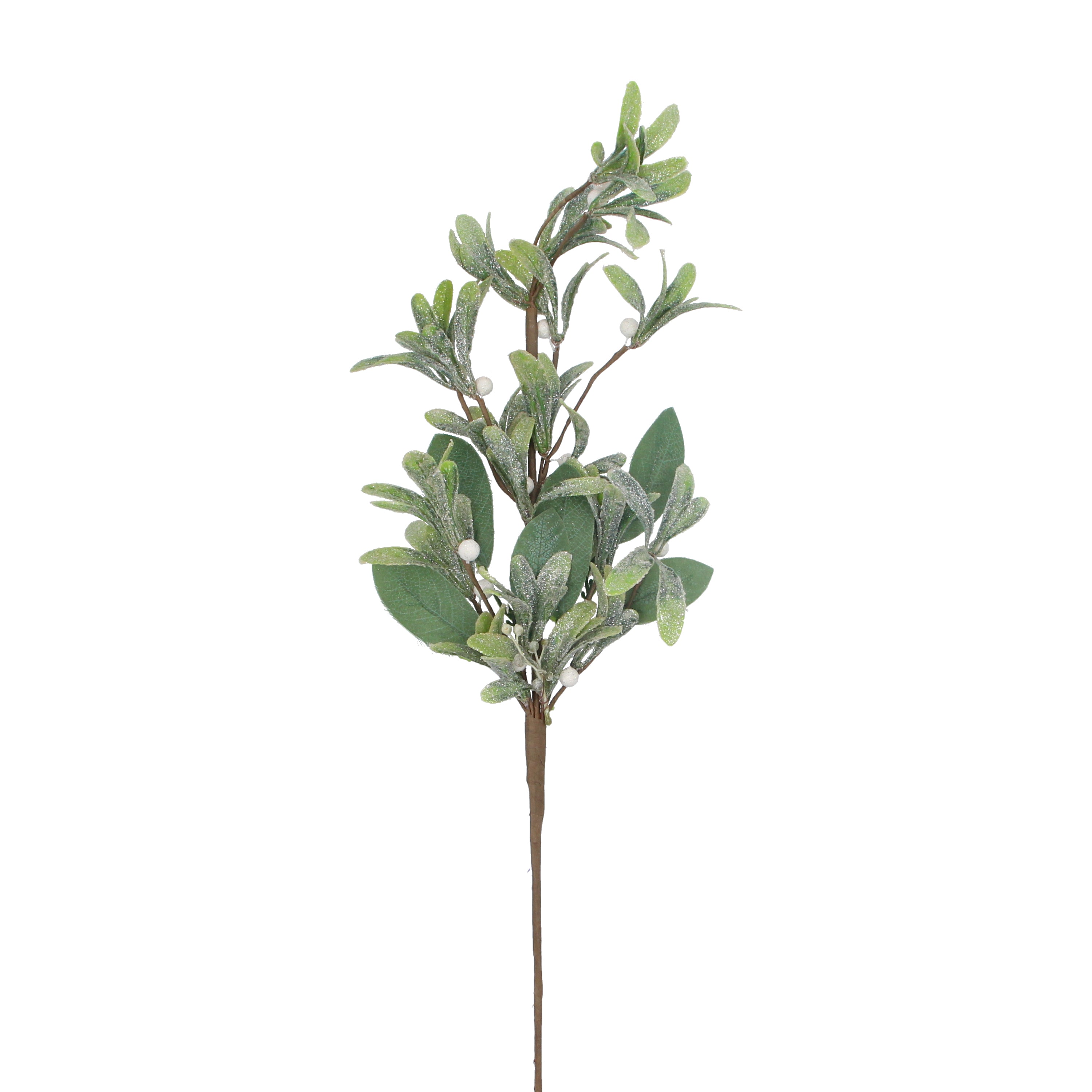 Two tone green leaf stem with white berries