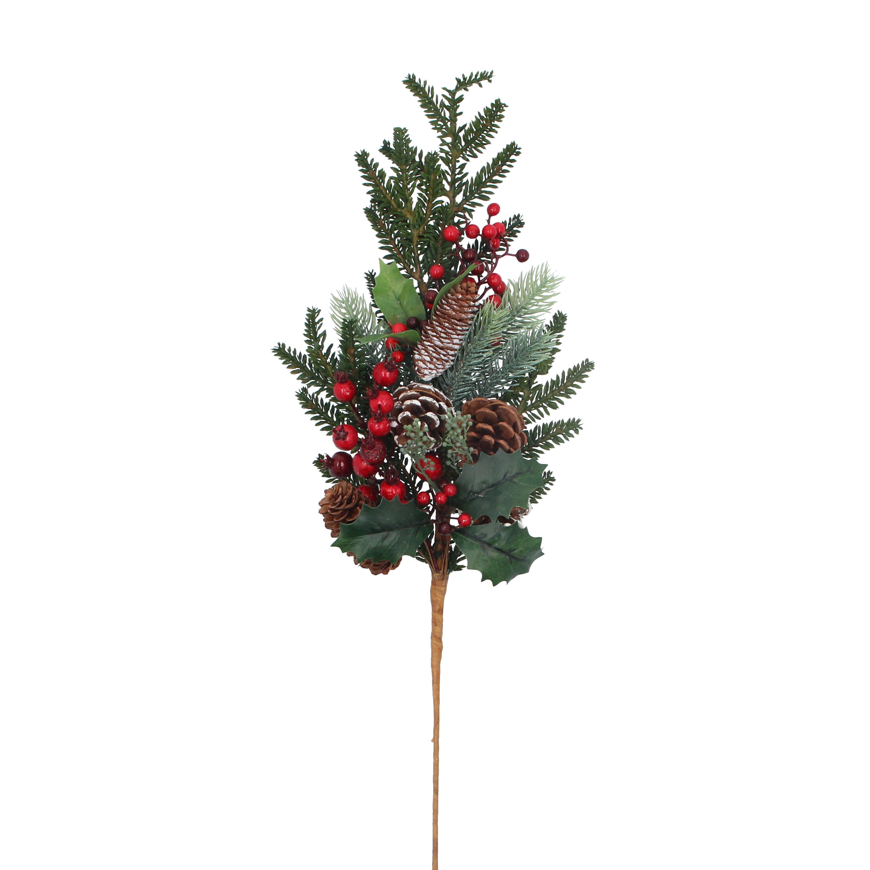 Mixed green fir/leaf stem with berries and cones