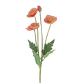 Coral pink poppy spray