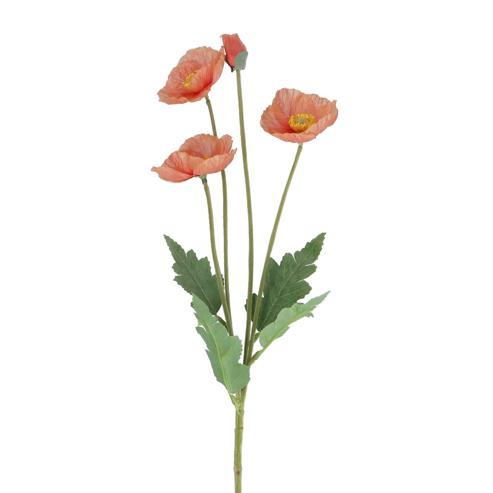 Coral pink poppy spray
