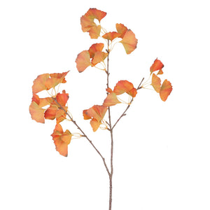 Orange gingko branch