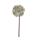 Antique blue allium stem