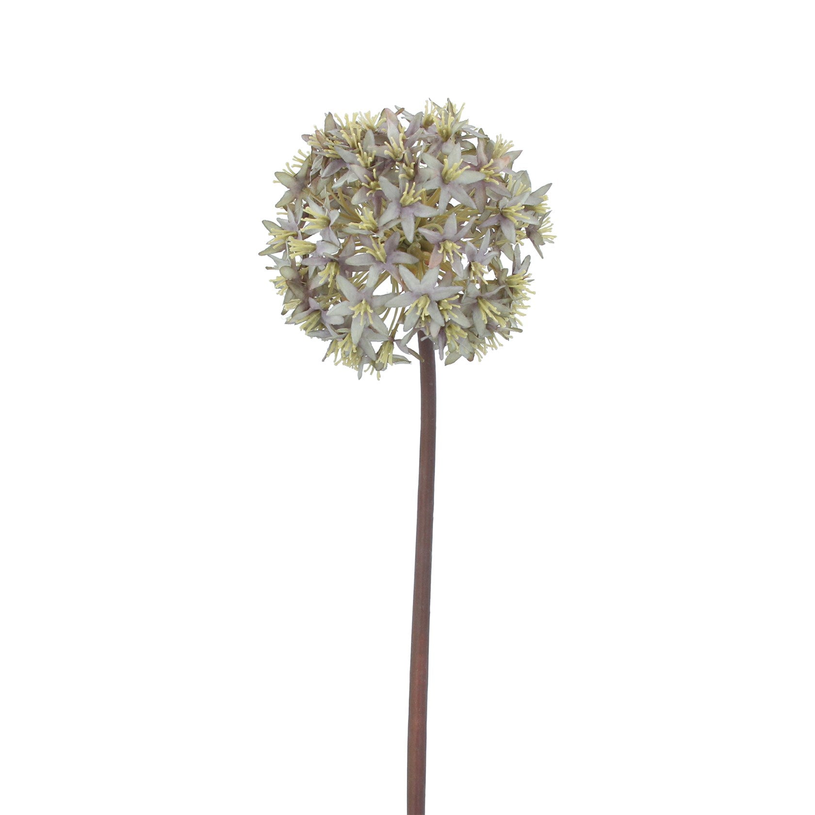 Antique blue allium stem