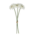White gerbera pick bunch