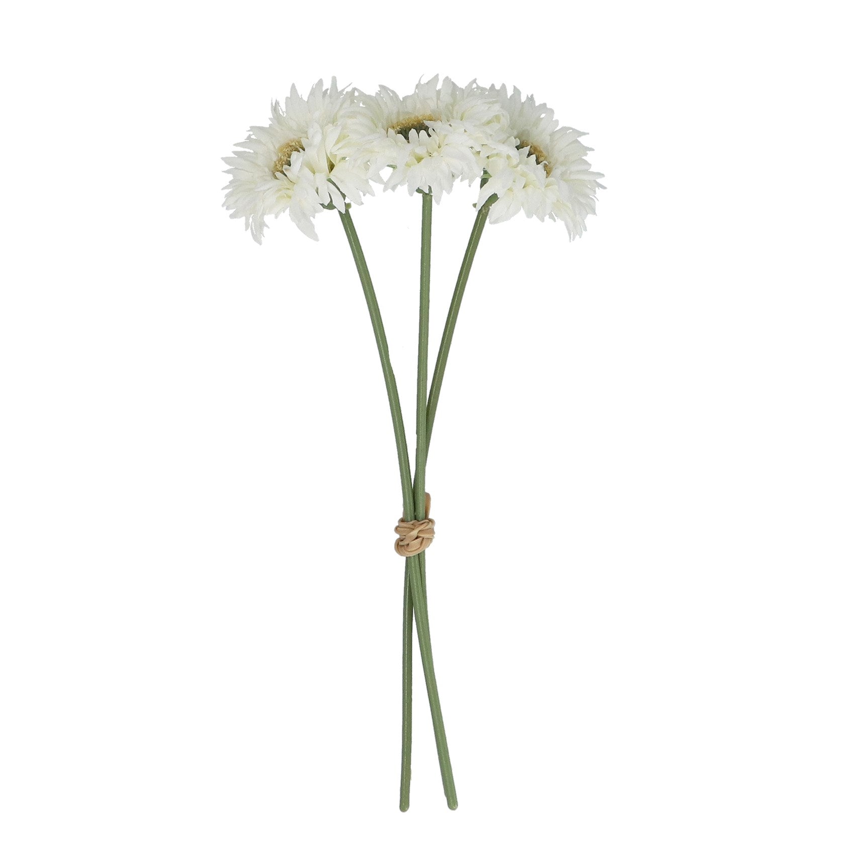 White gerbera pick bunch