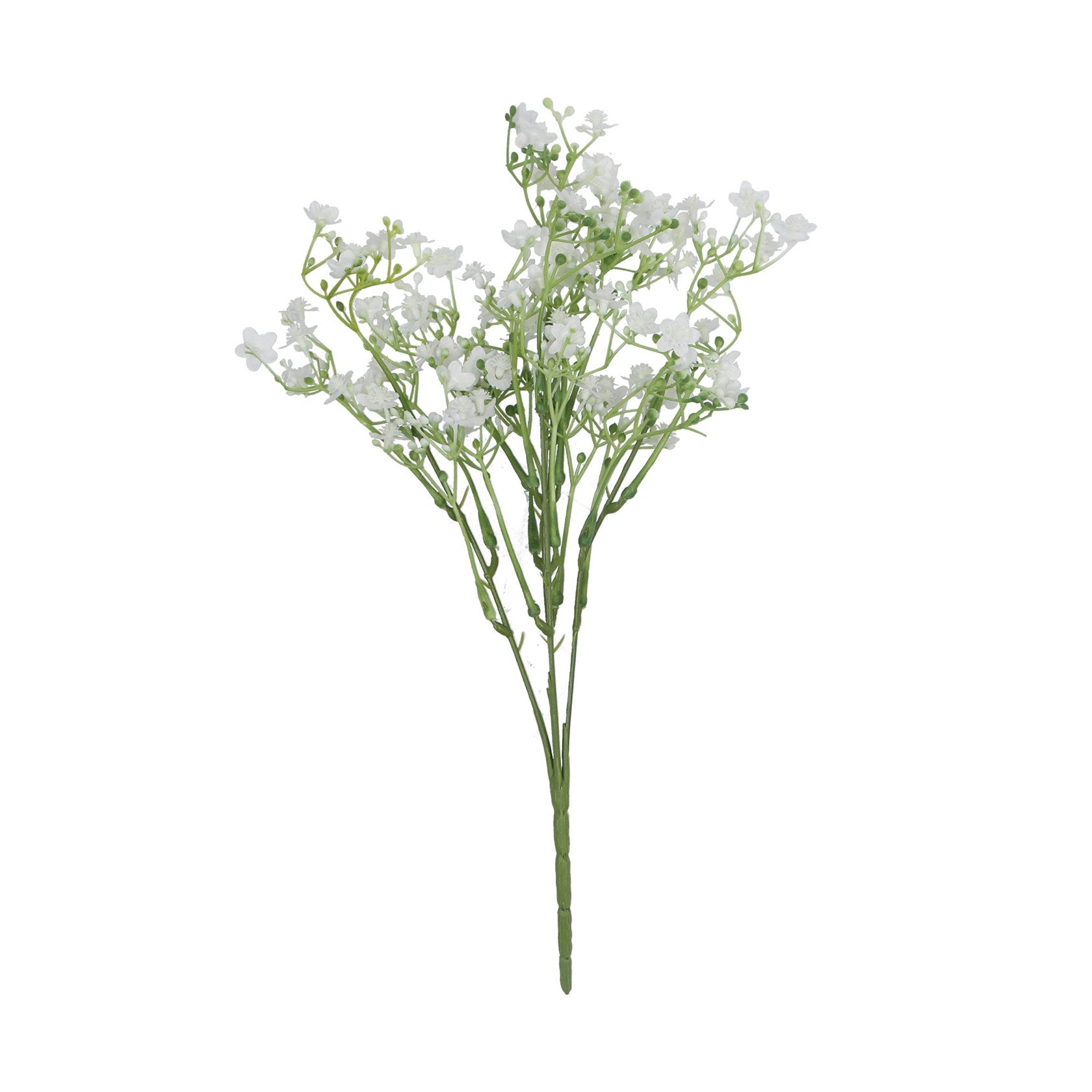 White gypsophila spray