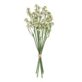 Feverfew pick