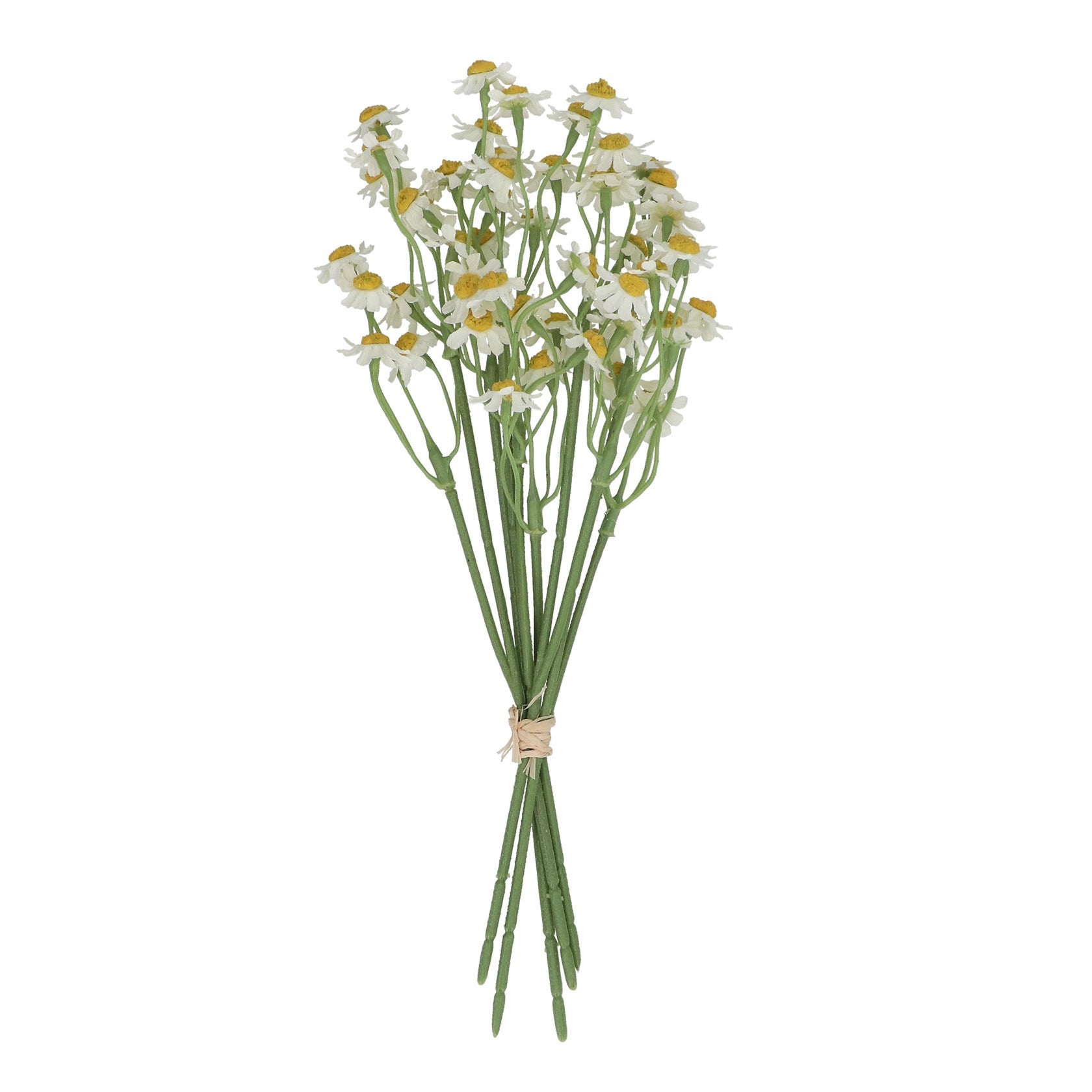 Feverfew pick