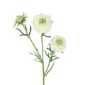 White scabiosa spray