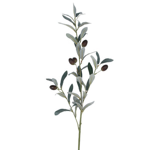 Olive branch