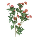 Coral pink snowball tree branch