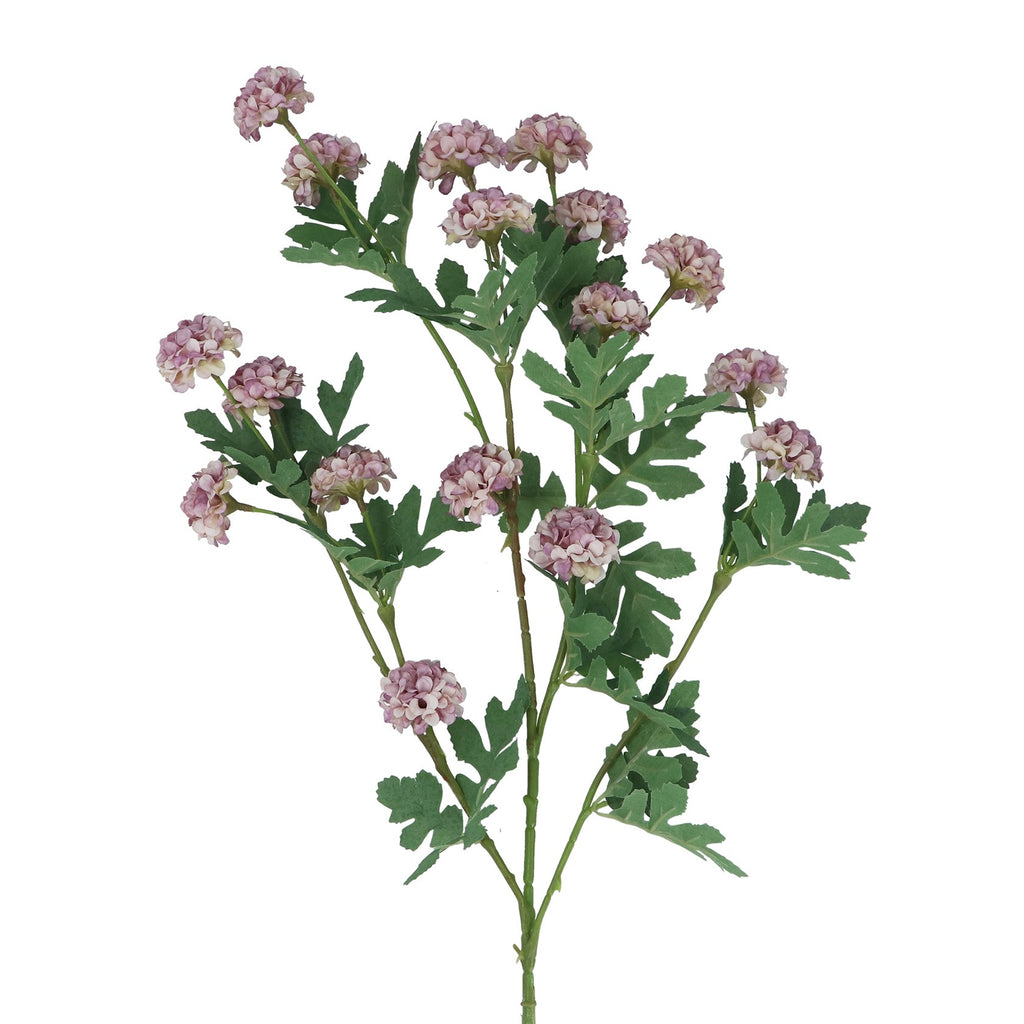 Mauve lilac snowball tree branch