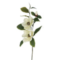 Cream Magnolia spray