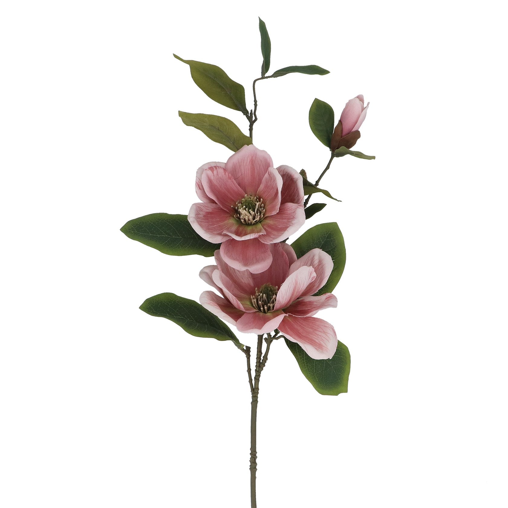 Dusky pink magnolia spray