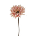 Pink gerbera stem