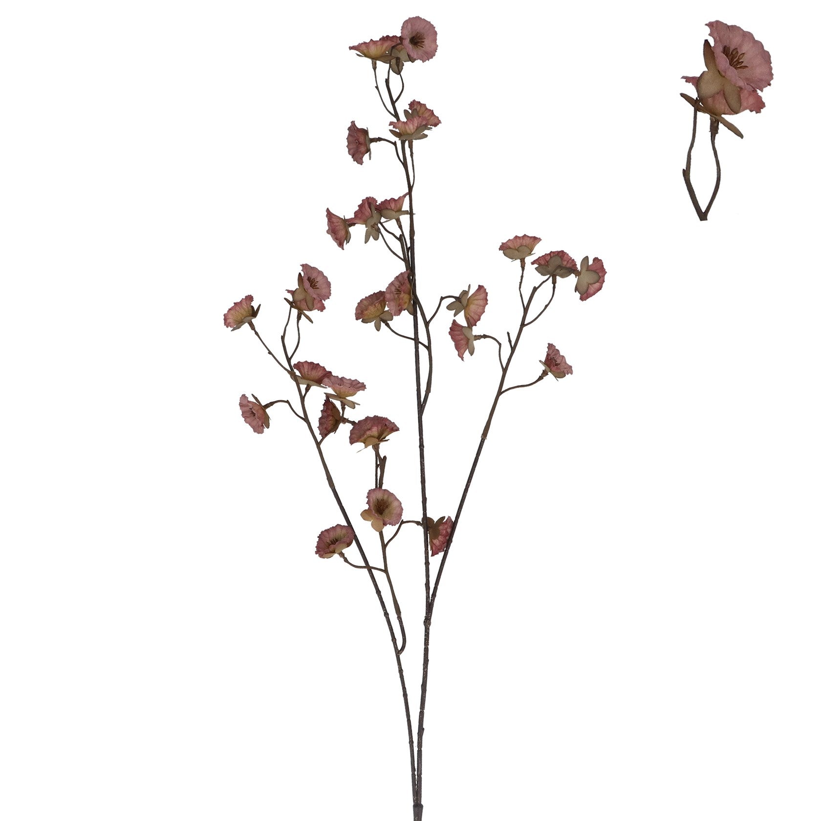 Antique mauve mini morning glory branch