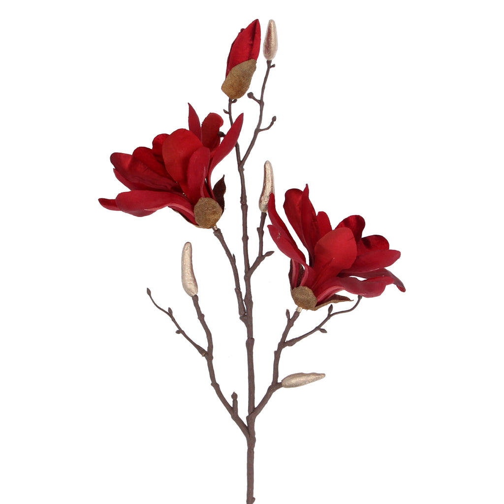 Red Magnolia branch