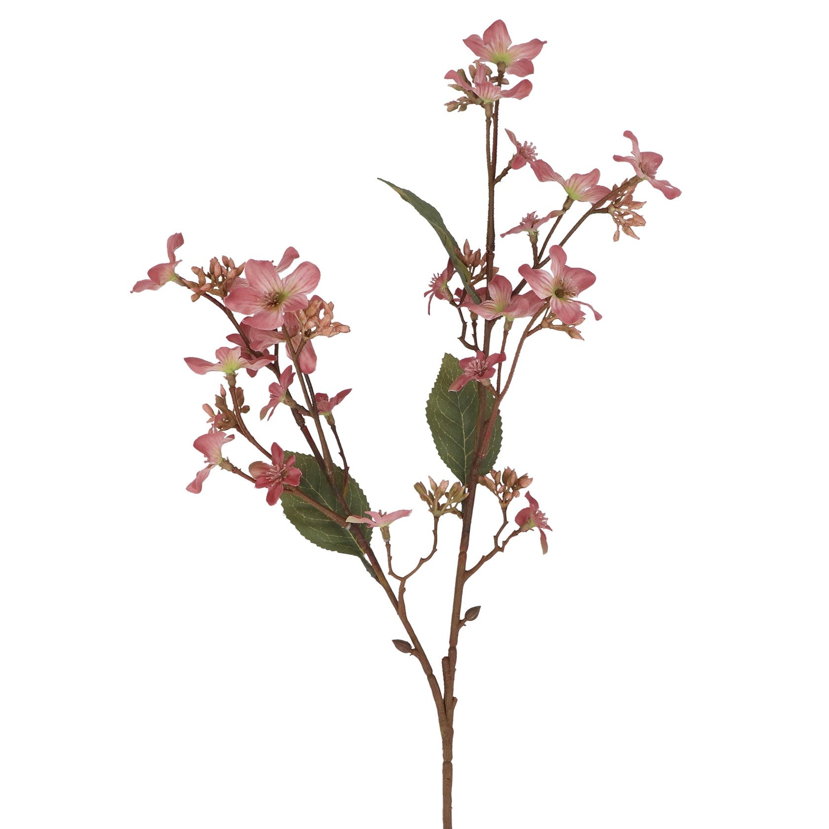 Dusky pink tung blossom spray