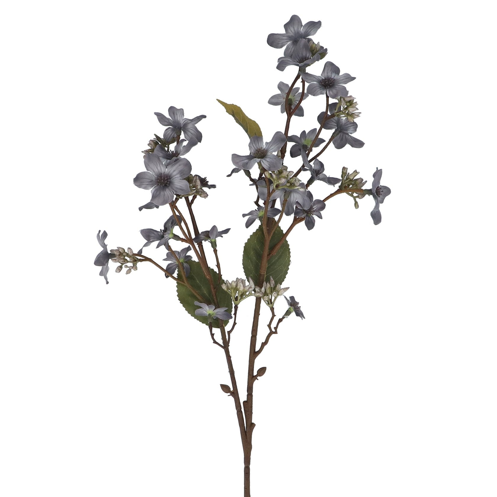 Blue tung blossom spray