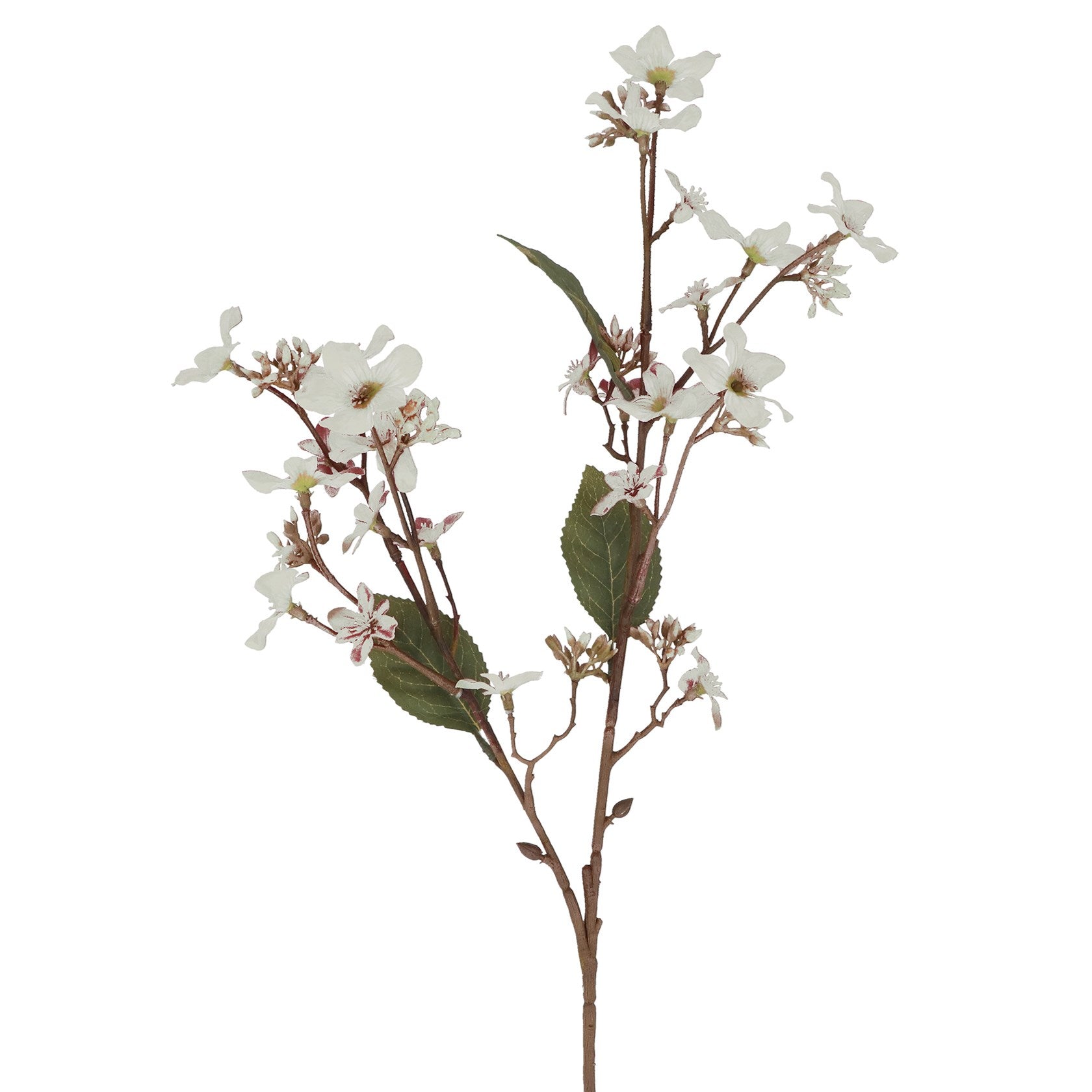 Cream tung blossom spray