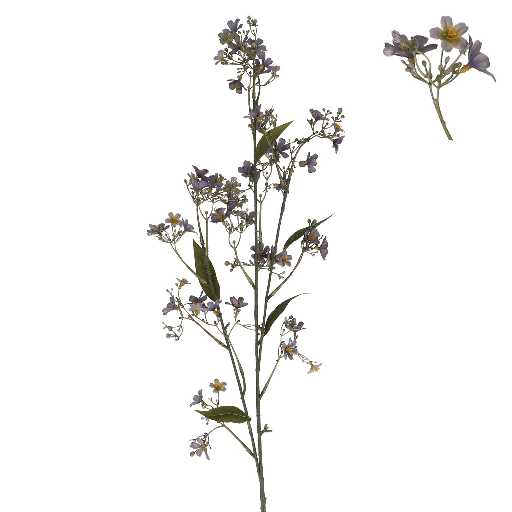 Blue Daphne spray