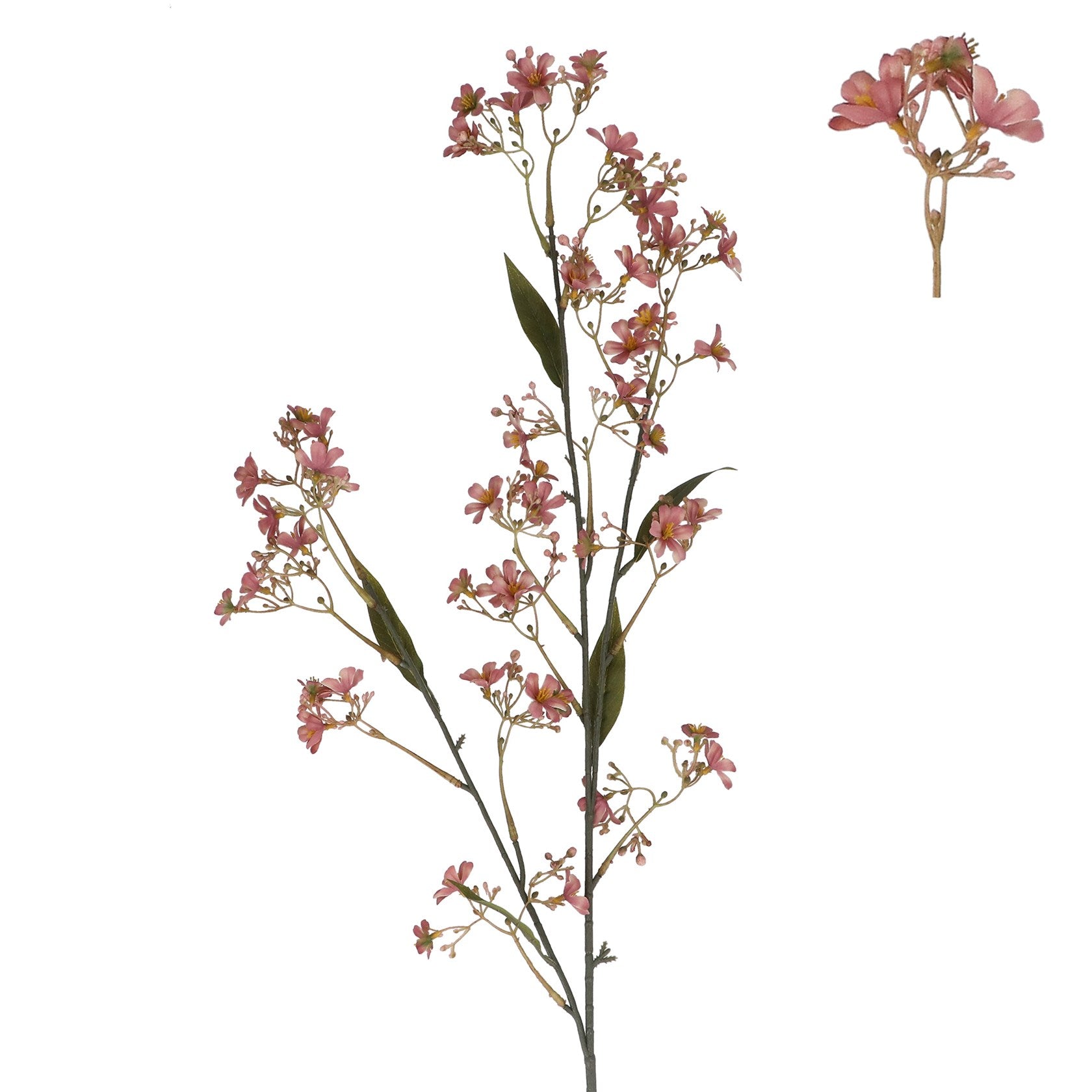 Dusky pink Daphne spray
