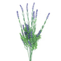 Lavender bunch 46cm