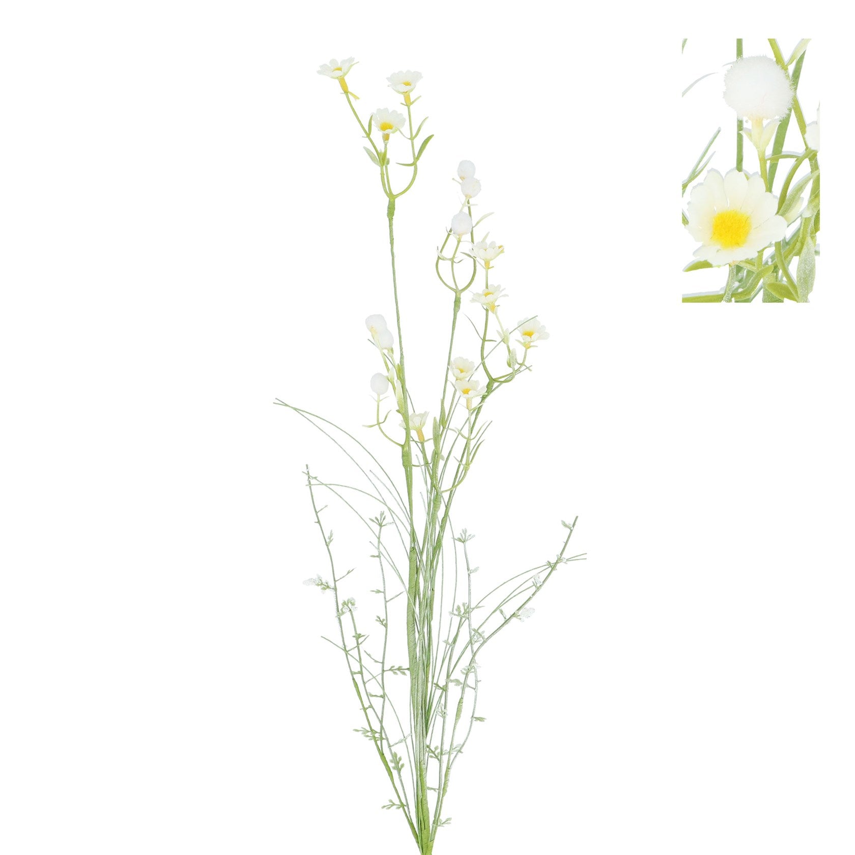 White wildflower with pom pom
