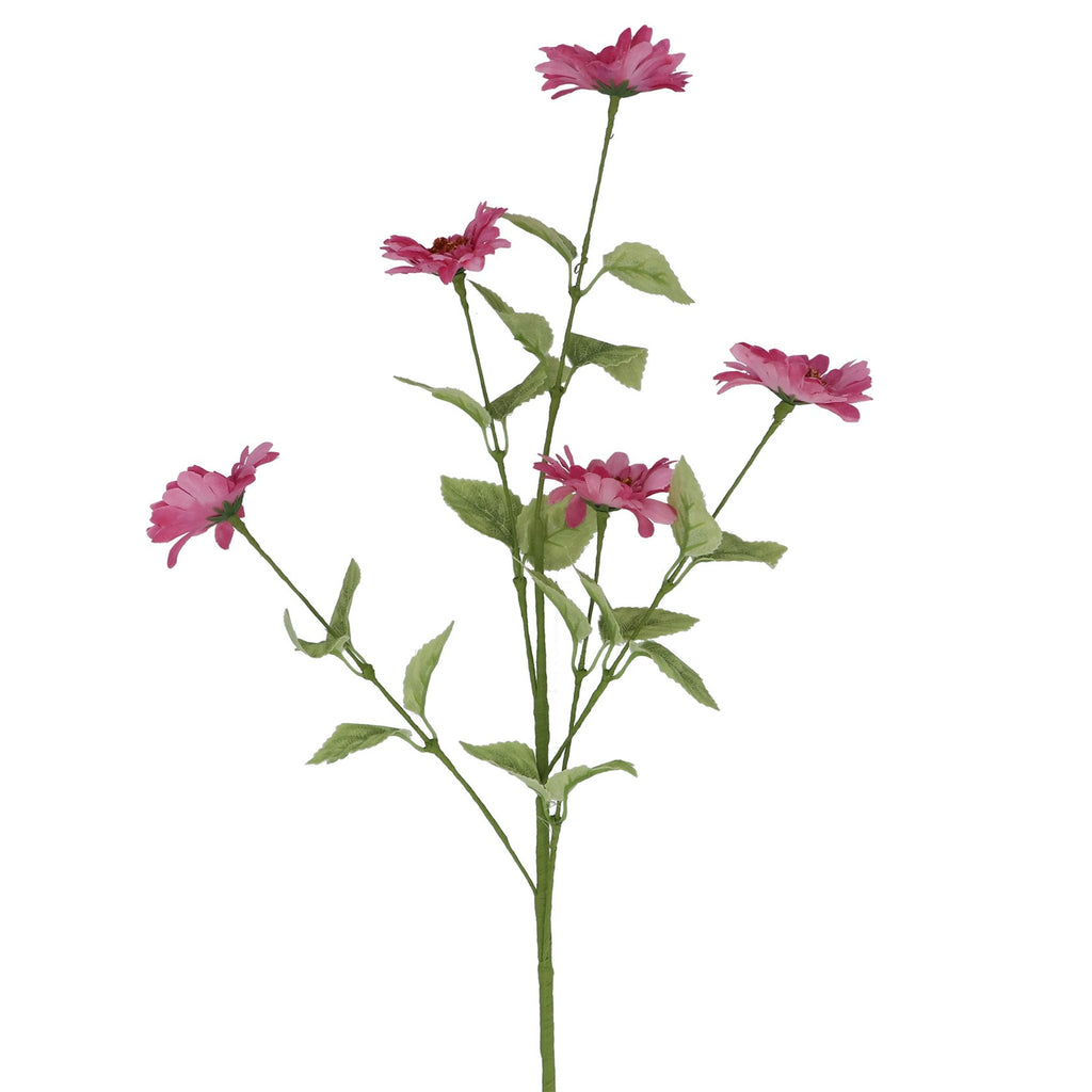Pink Aster Spray