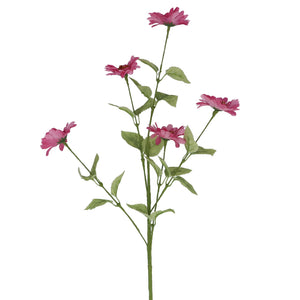 Pink Aster Spray