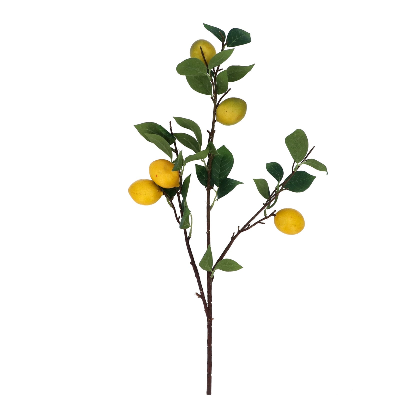 Lemon branch