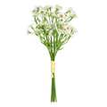 White daisy bunch