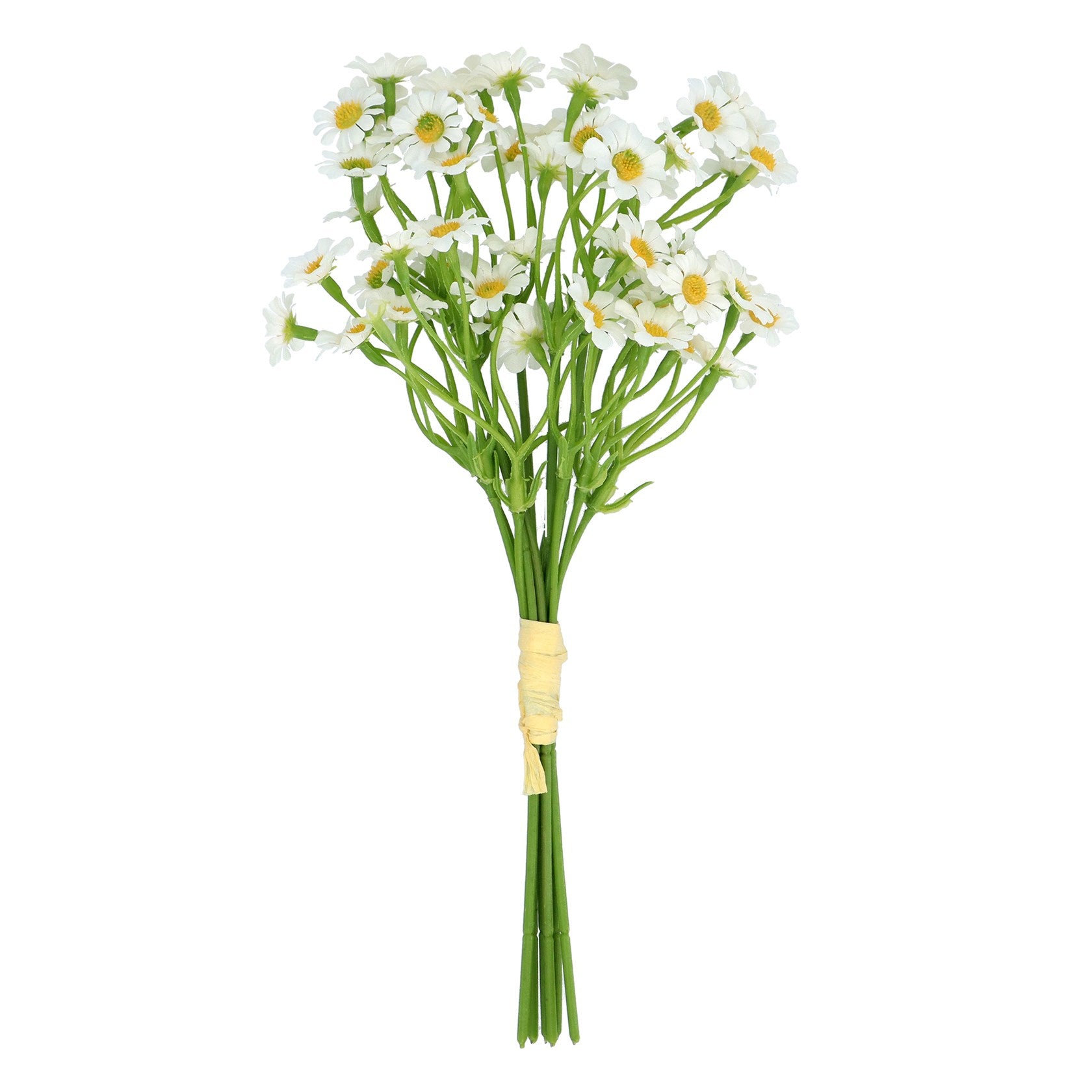 White daisy bunch