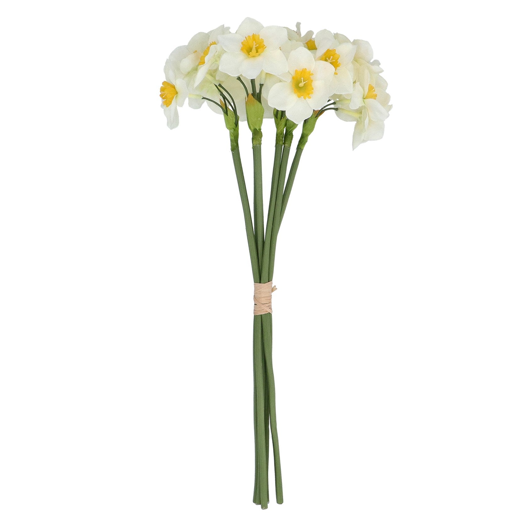 White narcissus tied bunch