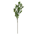 White Wild Rose Spray