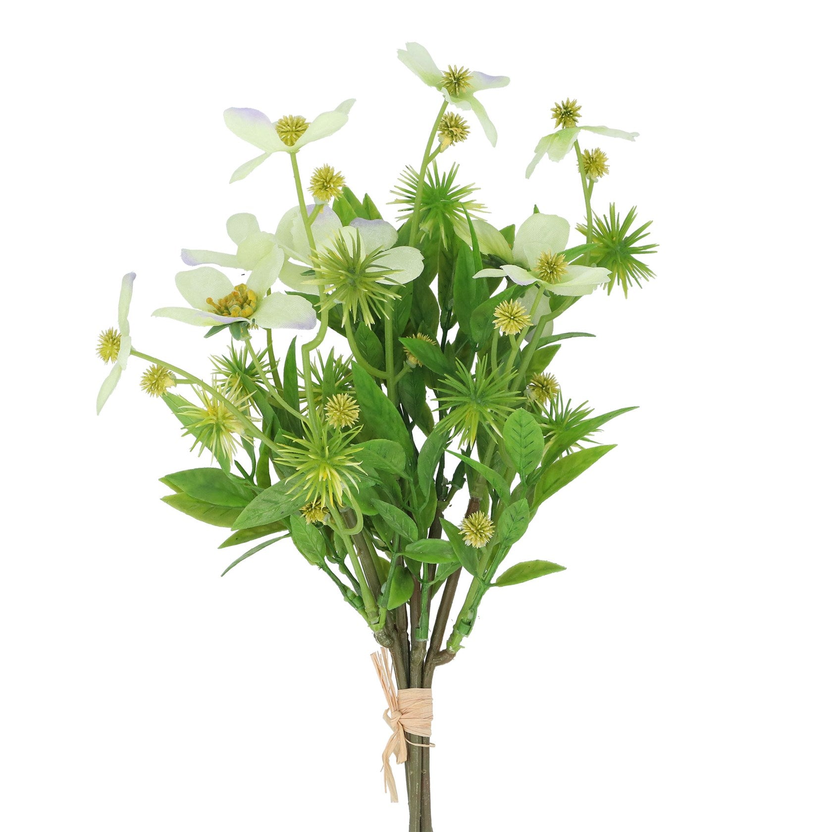 Anemone/white bundle
