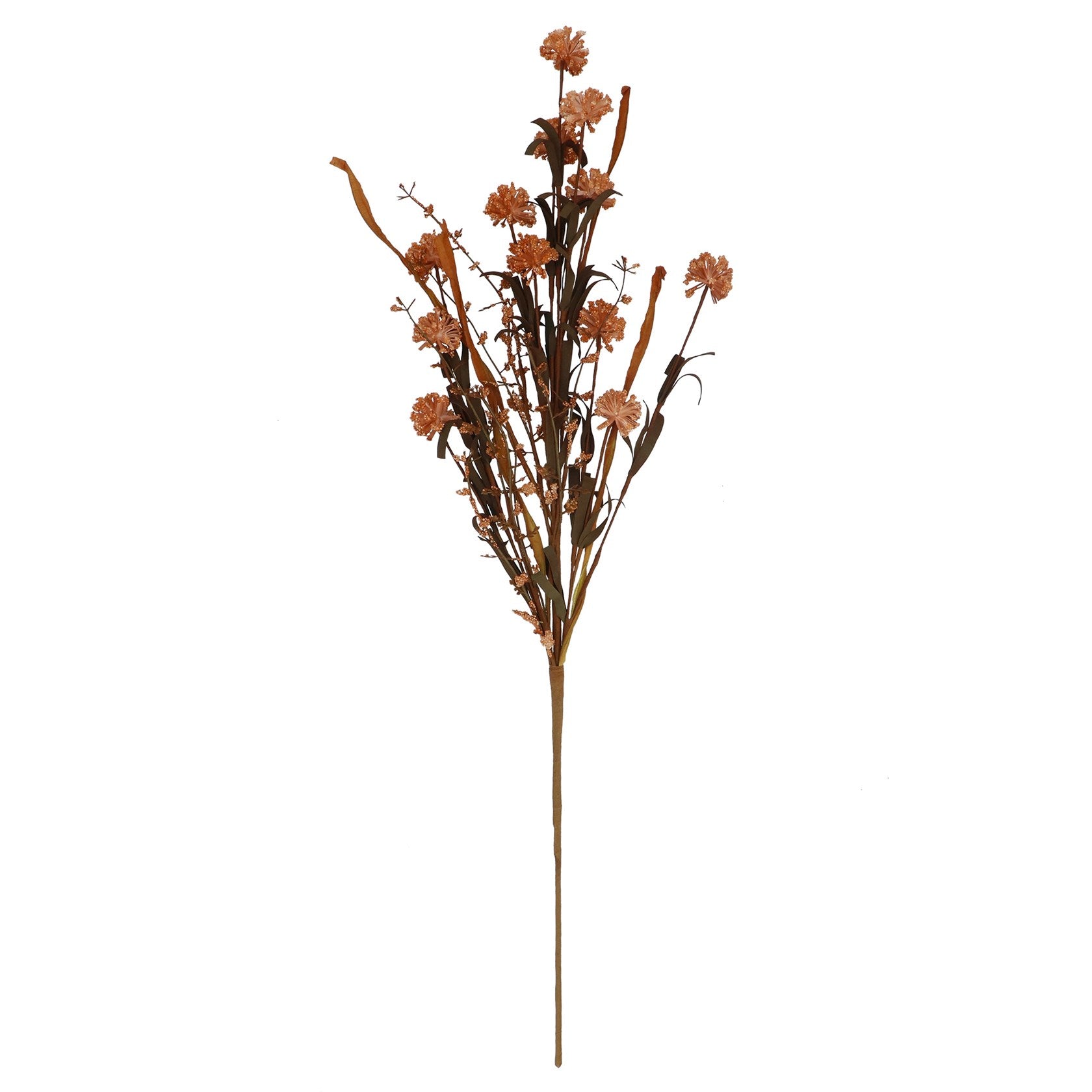 Dk. Coral Wild Mini Pom Pom Spray