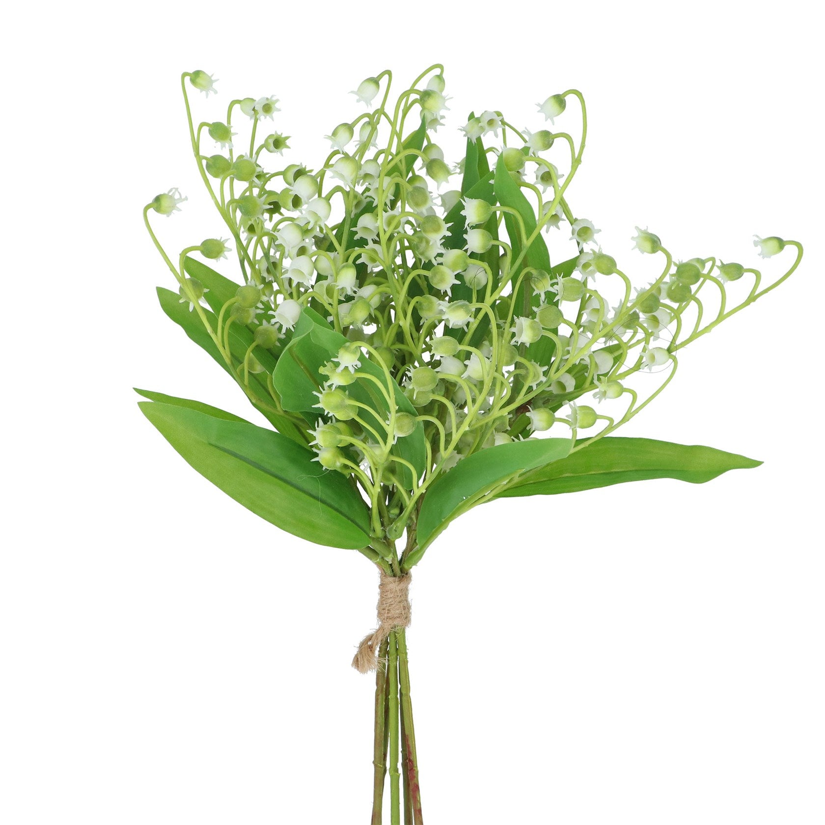 Lily of the valley bundle