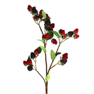 Raspberry and blackberry stem