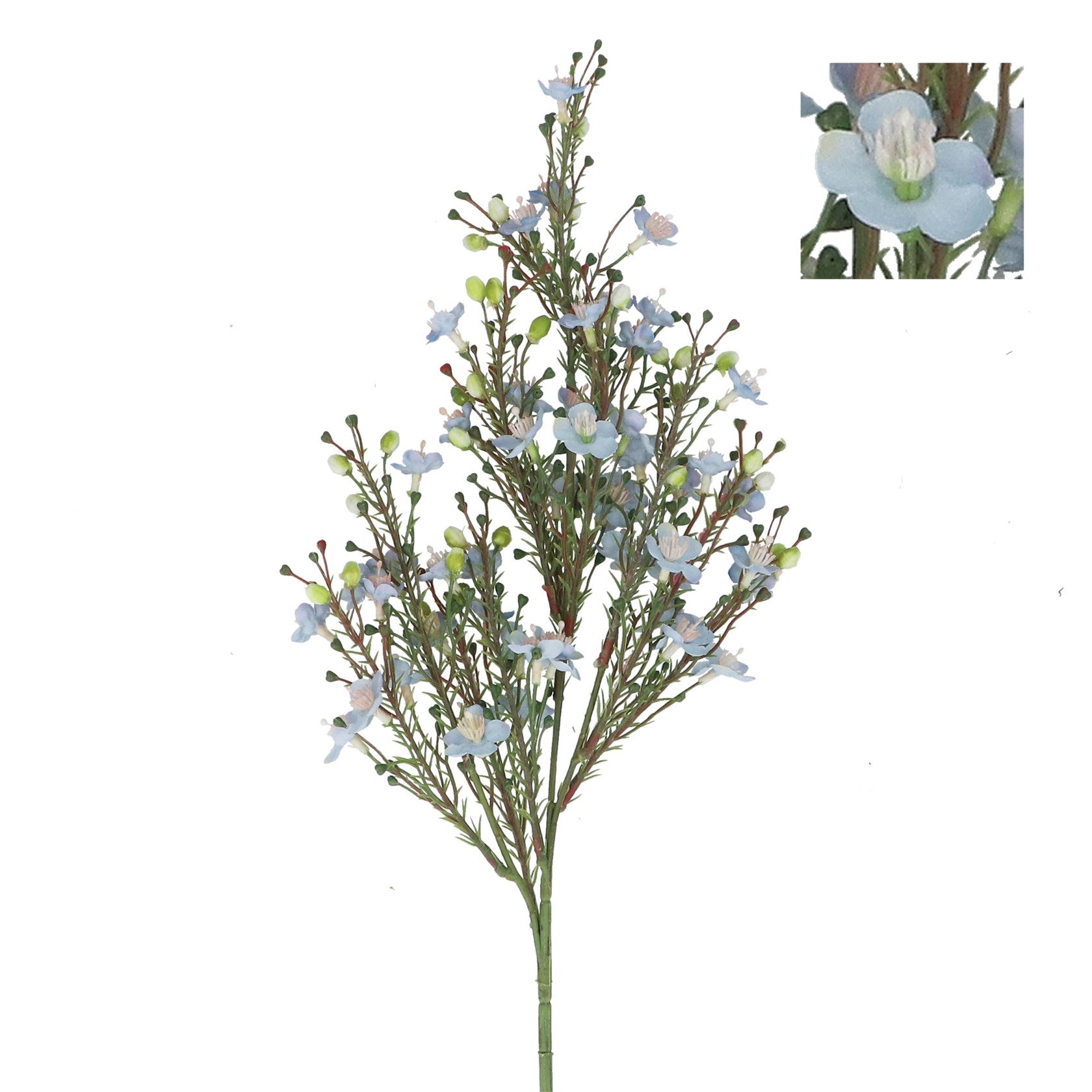 Blue flower with foliage