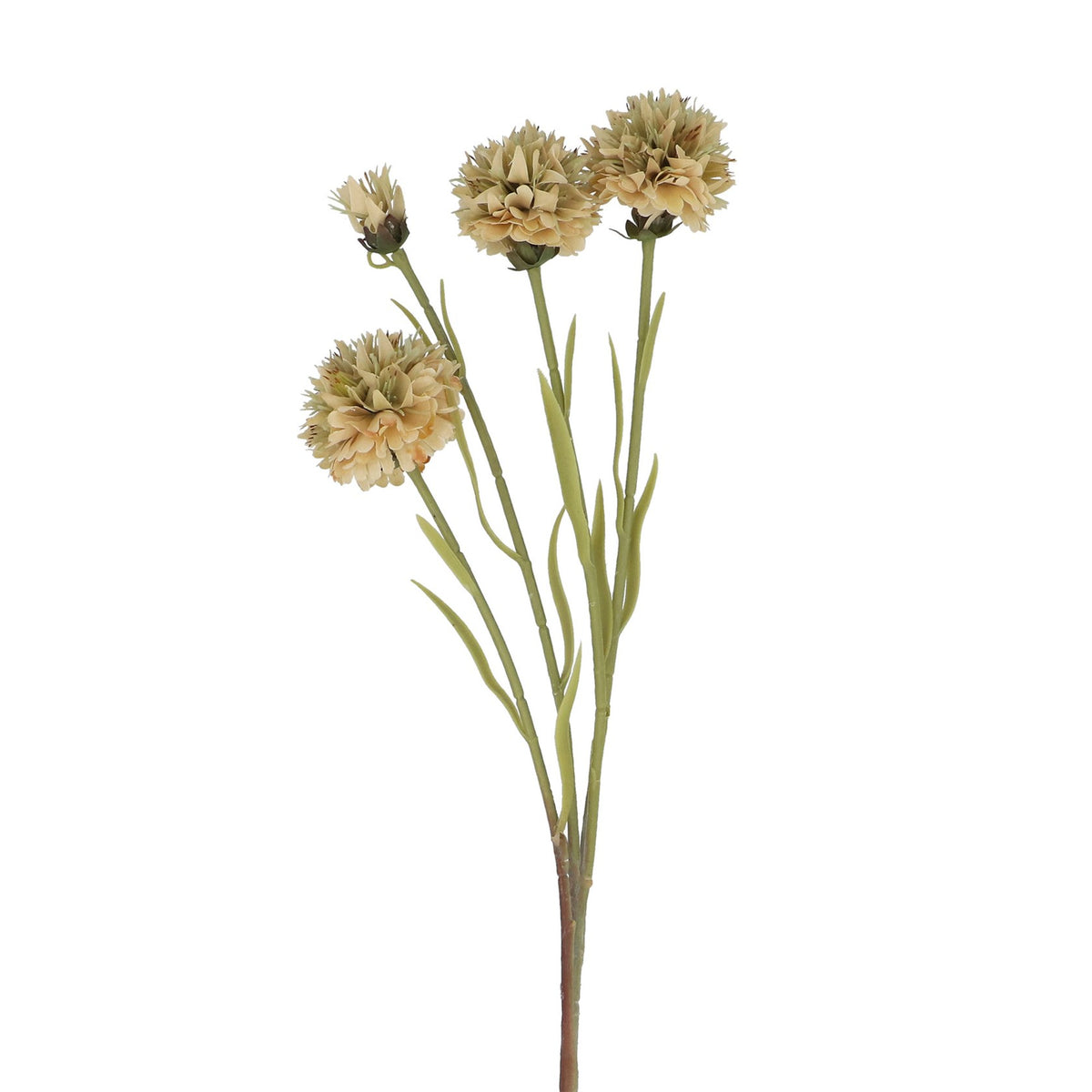 Antique cream ranunculus spray