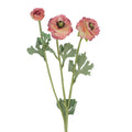 Pink ranunculus spray