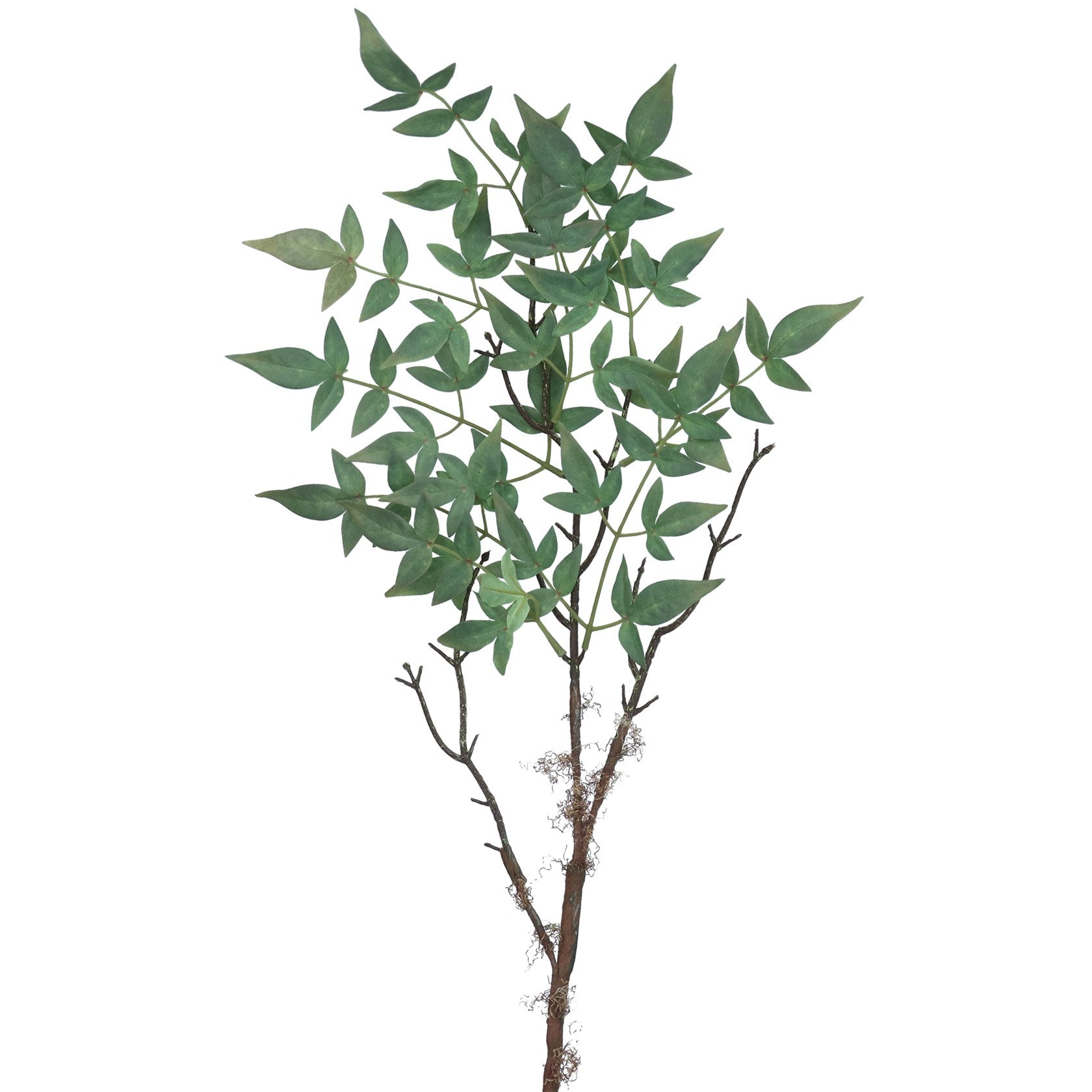 Ash foliage spray 97cm