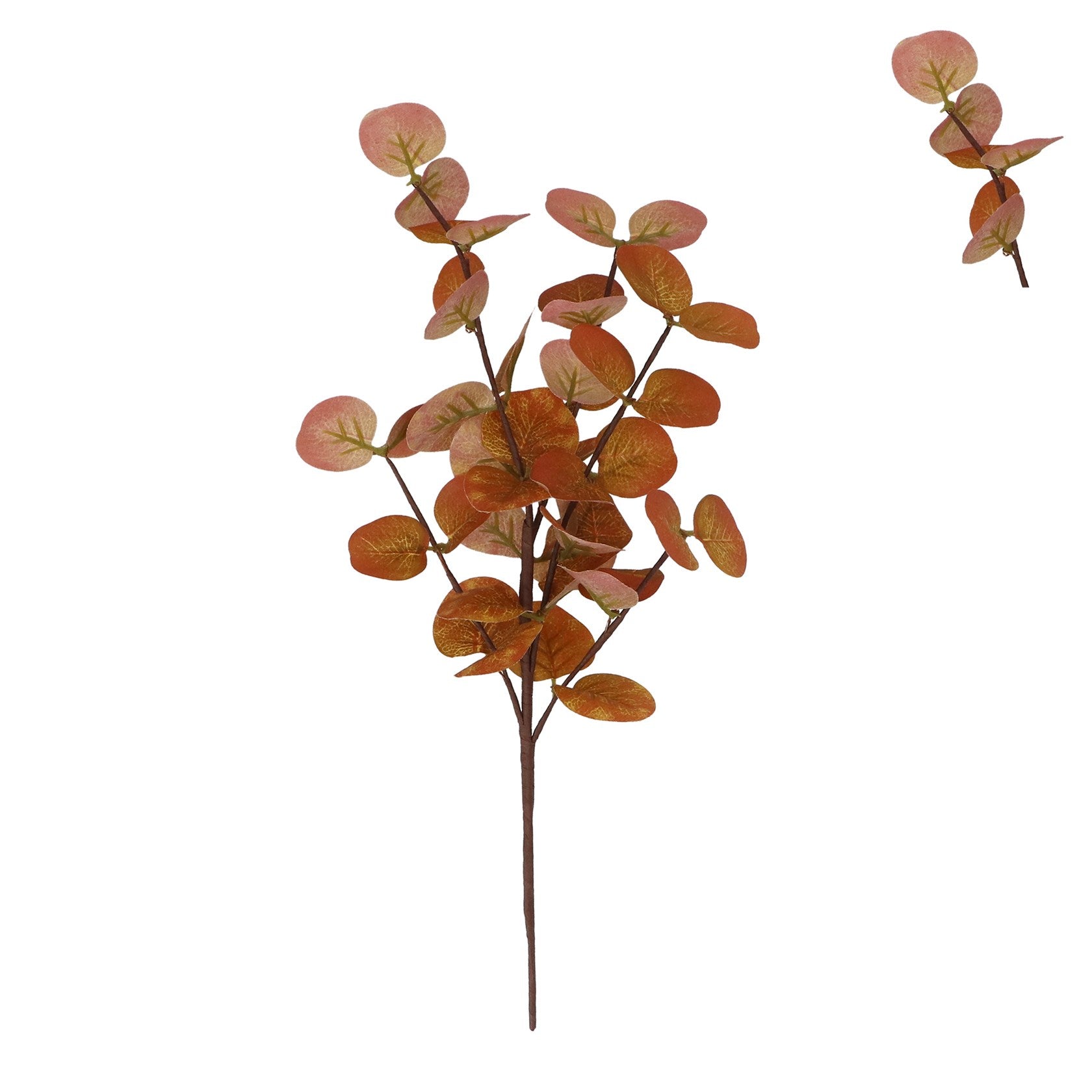 Yellow eucalyptus pick